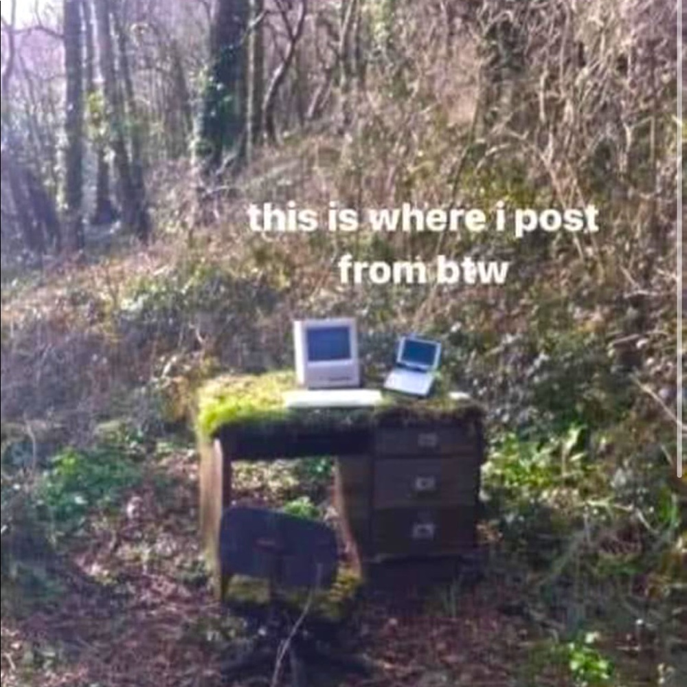 A collection of funny memes and whatnots